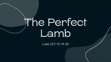 The Perfect Lamb
