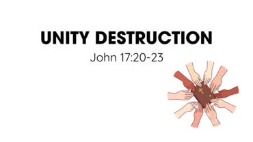 Unity Destruction